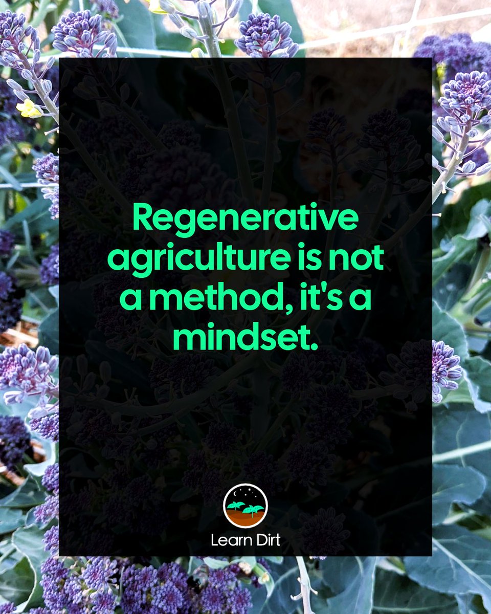 learn_dirt's tweet image. Regenerative agriculture is not a method, it's a mindset.