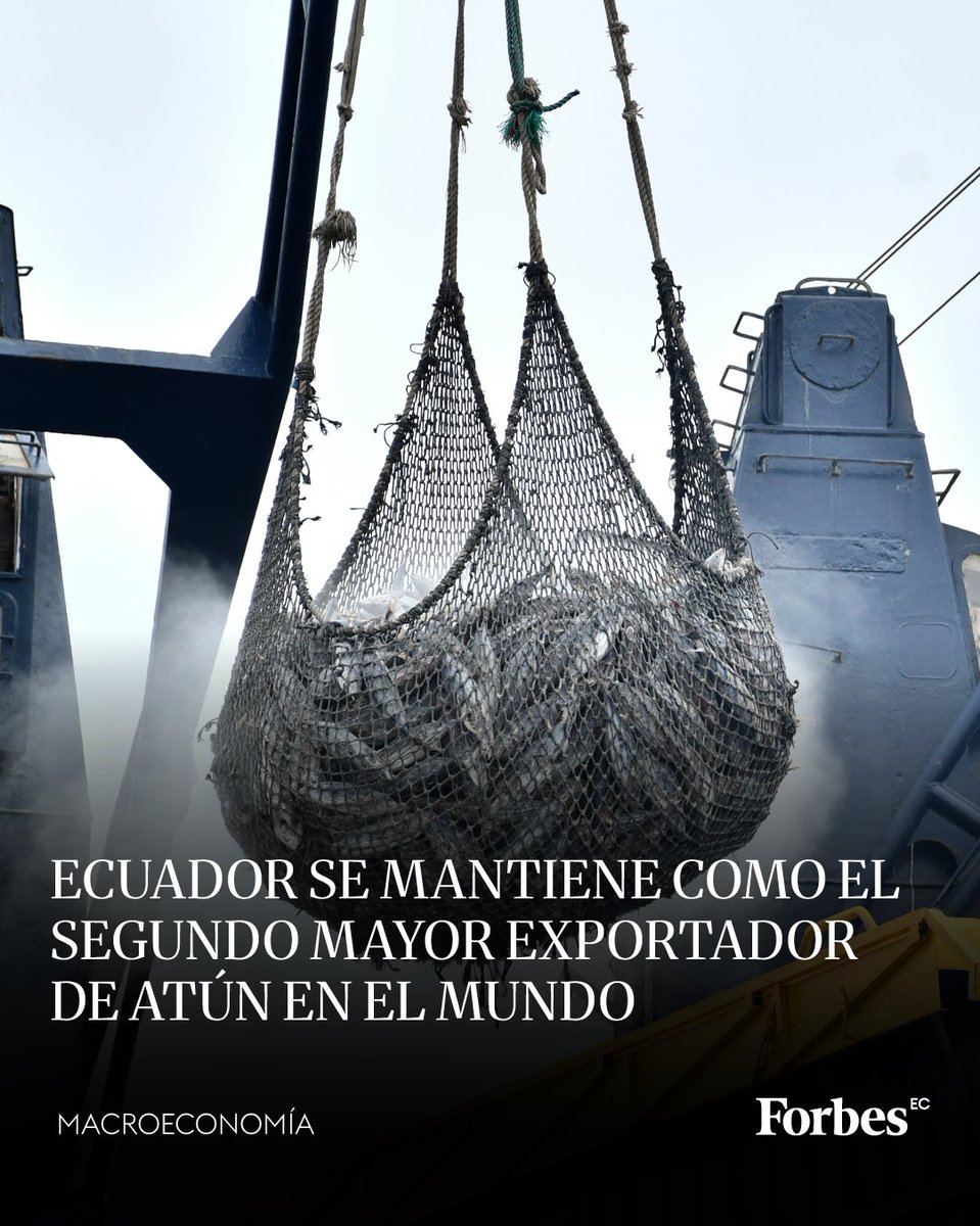 forbesecuador's tweet image. #Macroeconomía | 🐟 Ecuador destaca como potencia global en exportación de atún procesado y enlatado. Se ubica en el segundo lugar en el mundo luego de Tailandia, con un crecimiento de 15 % durante el primer semestre de 2025. 

El país lidera el mercado en América y abastece…