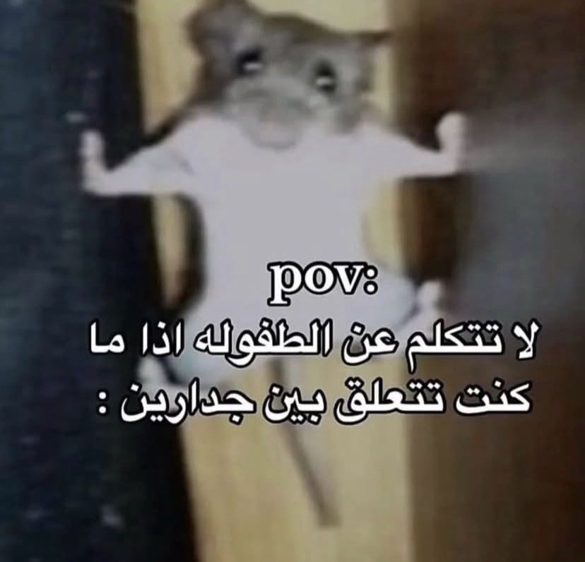 انس ماغيره tweet media