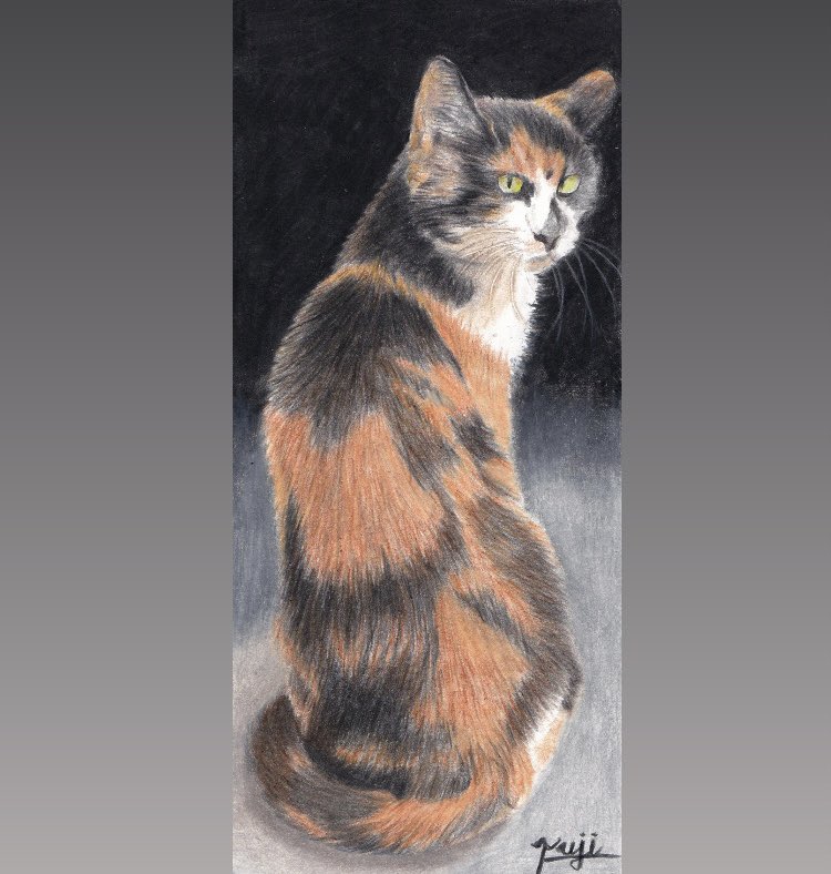 色鉛筆画 空飛ぶ鳳凰 色鉛筆画 2Lサイズ - メルカリ