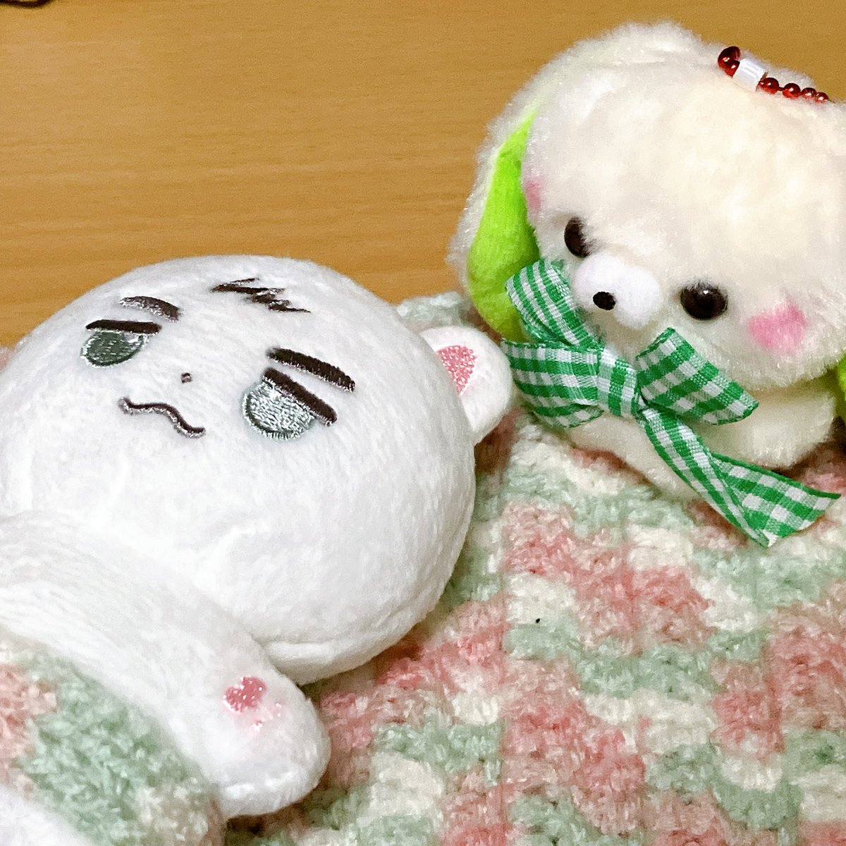 タグ付き肉 MESH（2PIECE) 商品詳細 広島県東広島市西条町の326POWER