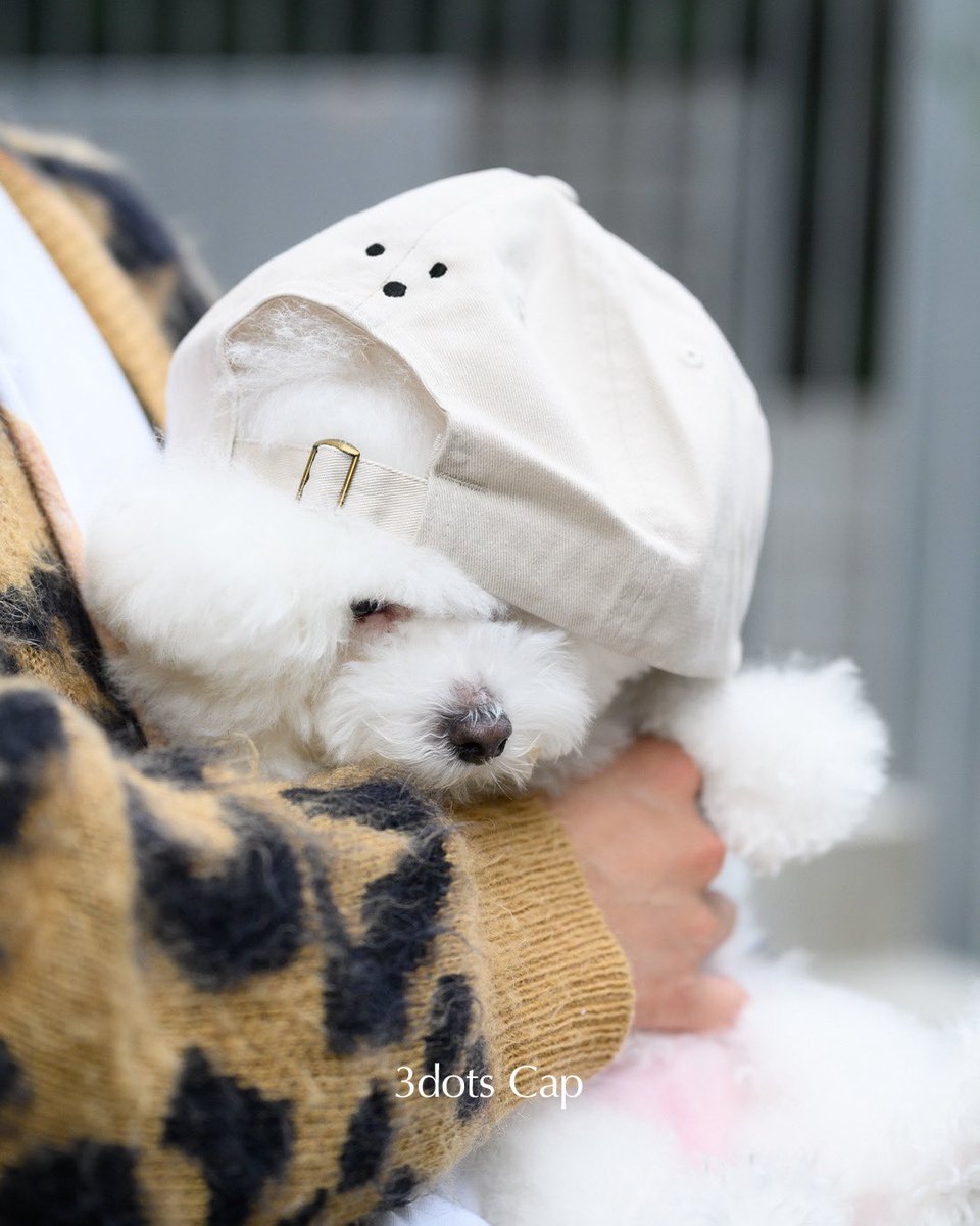 hkr_jgimsld's tweet image. 改めてイベントにお越しいただいた皆様ありがとうございました☁️ほこりも(多分)とても喜んでたと思います
イベントで販売したアイテムを一部オンラインでも販売できることになりました🙌
数が少ないのでご検討されていた方がいればぜひ🏃‍♂️
h-o-c.jp/?fbclid=PAdGRl…