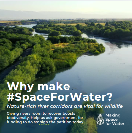 SalmonAlliance's tweet photo. 🚨 Help Make Space for Water

Our rivers are in crisis – polluted, overheated, and stripped of their natural features.

Sign @theriverstrust petition and help restore our rivers https://t.co/ZTATffqfbf

#SpaceForWater #ActForNature #ClimateResilience #RestoreOurRivers https://t.co/4jmESTjcbJ
