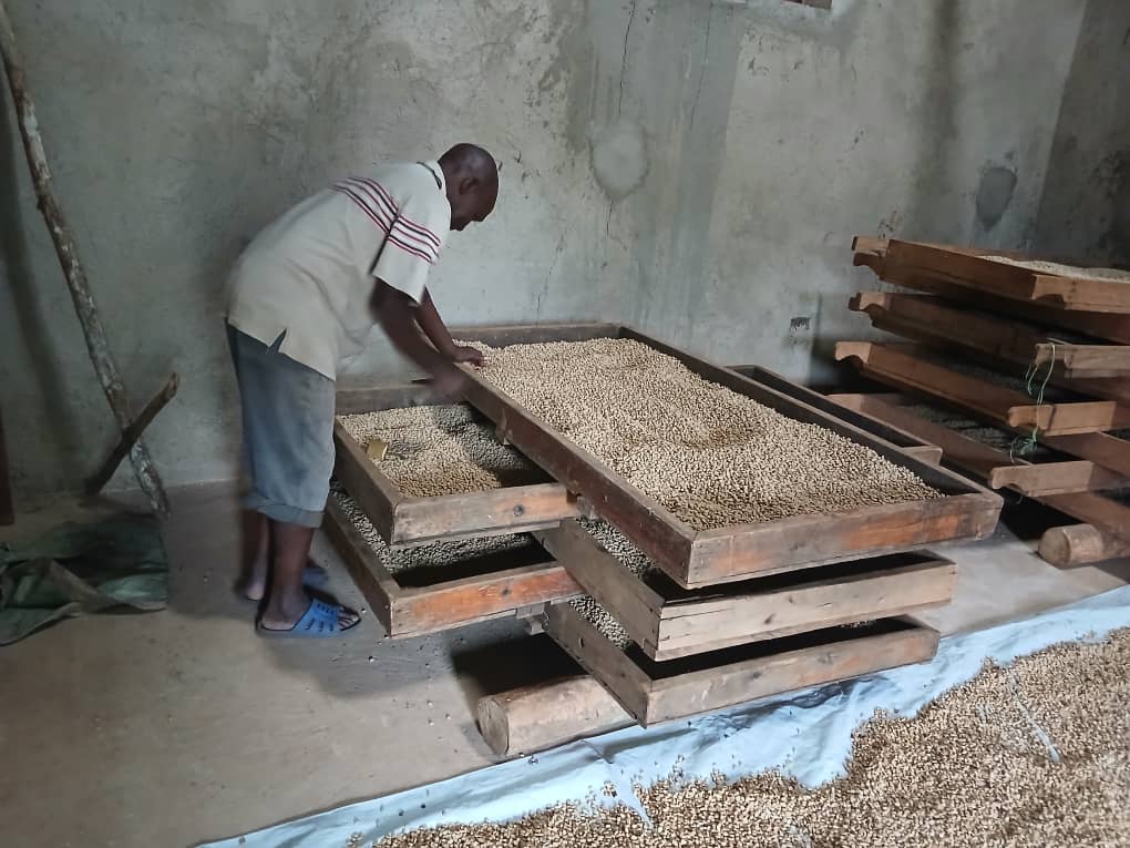 After a series of trainings inincluding governance, financial literacy, business plan development, good agronomic practices among others, Bumati and Shienga Cooperatives in Bududa district have started realizing improvements in business <a href="/NLinUganda/">Embassy of the Netherlands in Uganda</a> <a href="/WURenvironment/">WUR Environmental</a> <a href="/ISSDUganda/">ISSD Uganda</a>