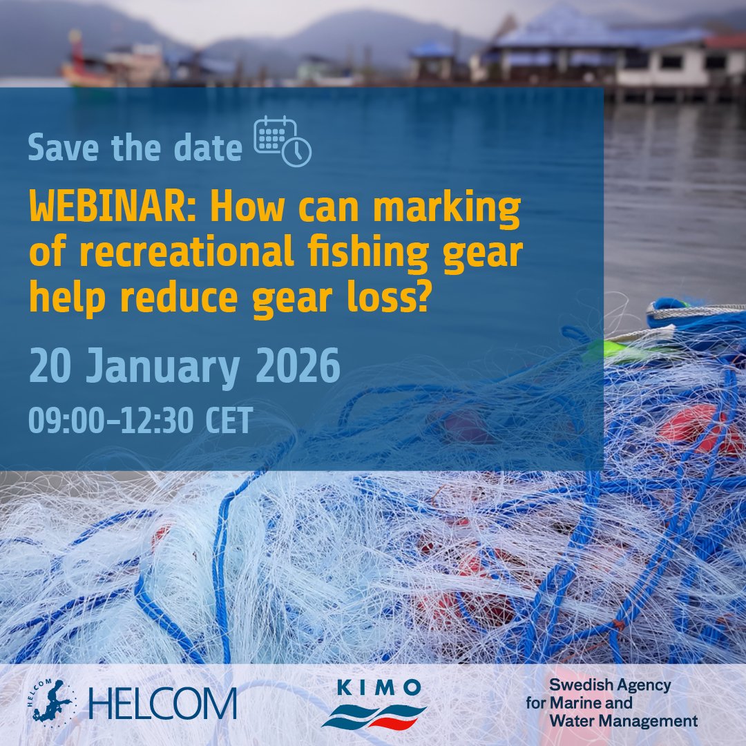 KIMO International tweet media