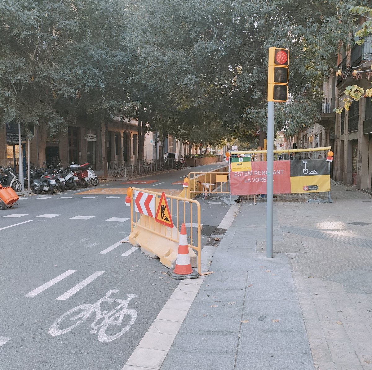 Barnabici tweet media