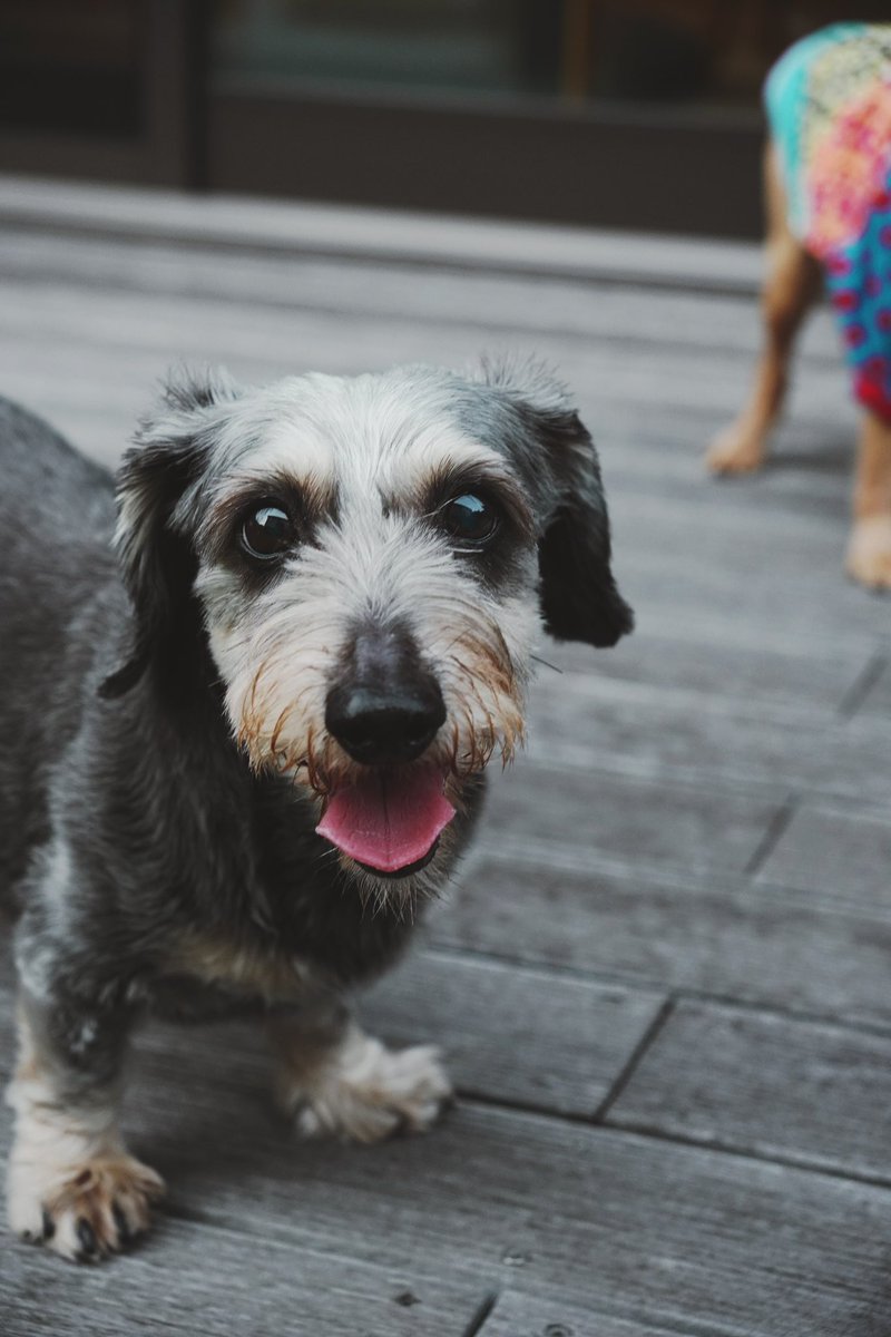 ↓6ヶ月                               ↓14歳2ヶ月