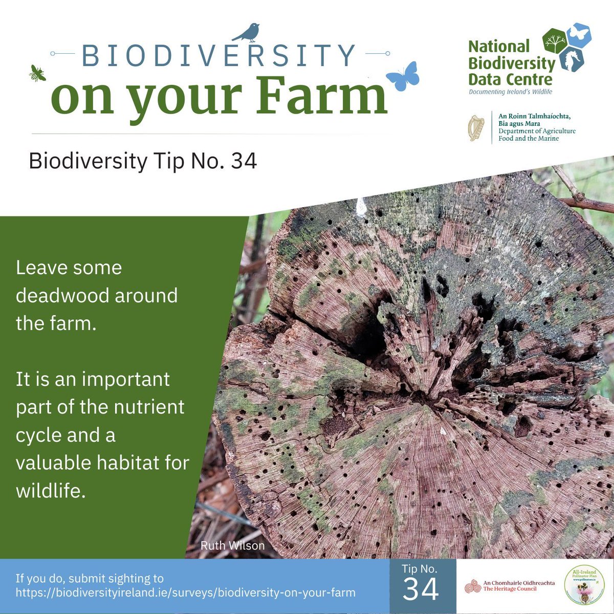 Biodiversity Ireland tweet media