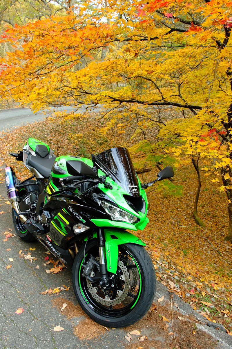 ともやん SHI⭐️BU