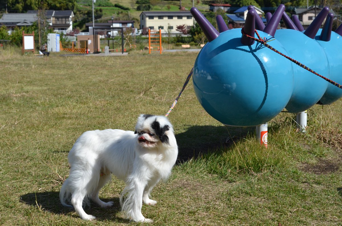 恋ちーパパ on X