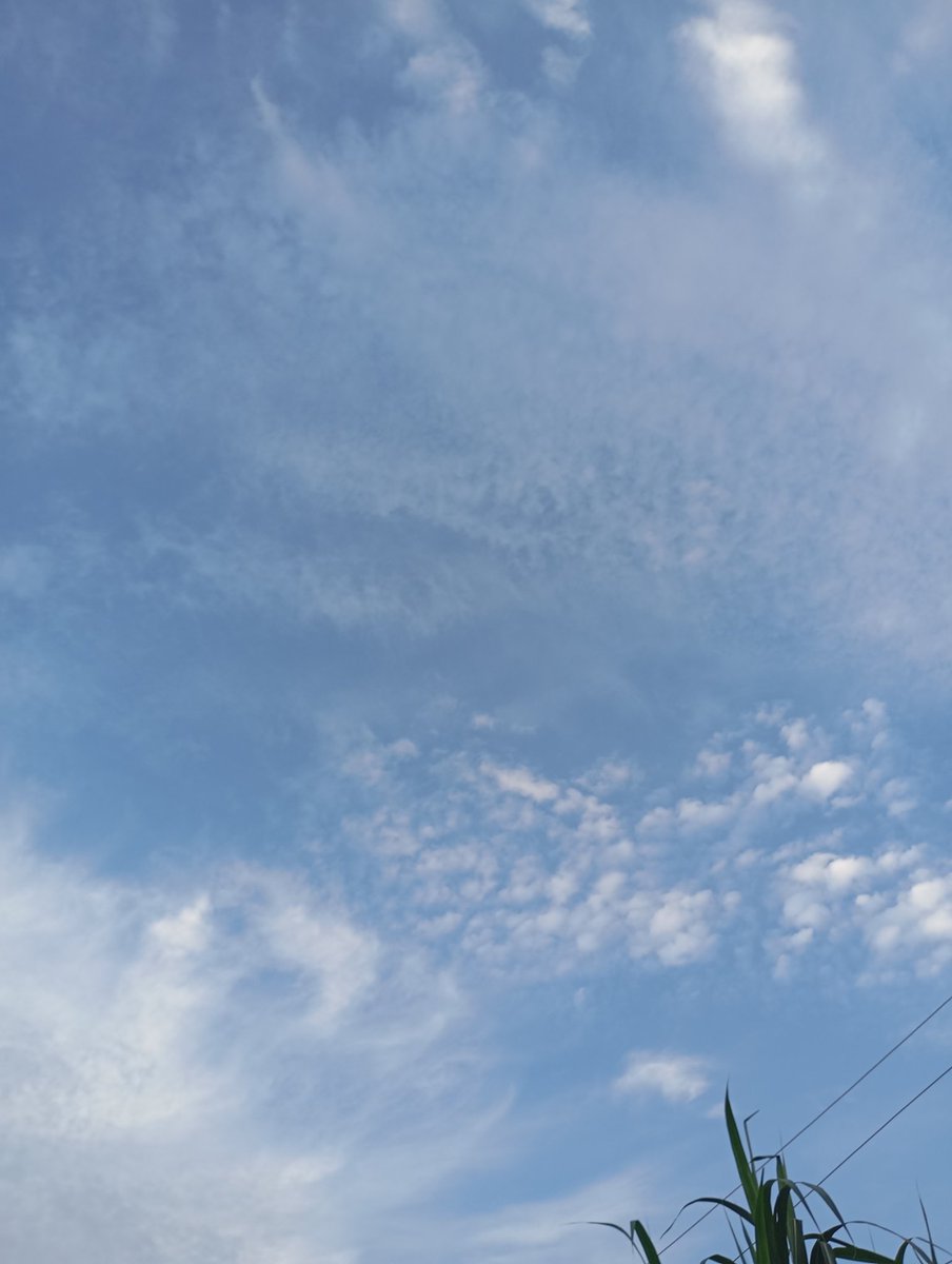 October was quite something and I have written it out in my monthly newsletter 
musingsfromqueenraffy.substack.com/p/the-mess-and…