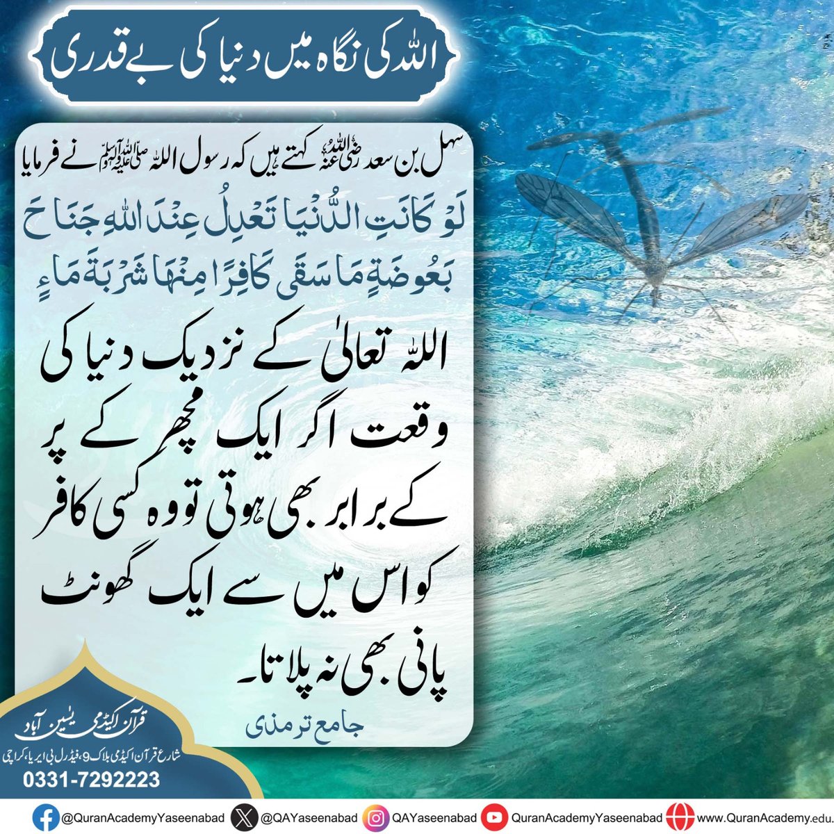 QAYaseenabad's tweet photo. #muhammadsaw #Hadith #hadithoftheprophet #hadithreminder #Hadees #hadeesoftheday #islam #islamicpost #islamicreminders #IslamicInformation #karachi #pakistan #asia #drIsrar #drIsrarAhmed #shujauddinsheikh #quranacademyyaseenabad #quranacademy https://t.co/2i8HMamn5s