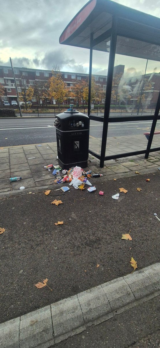 TerryPh89389972's tweet photo. @Royal_Greenwich what exactly do people pay council tax for again ?? https://t.co/o0grE78lF2