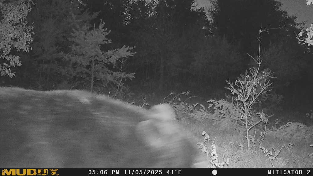 Look at this giant bear my husband caught on the trail camera! That's right at his deer blind.