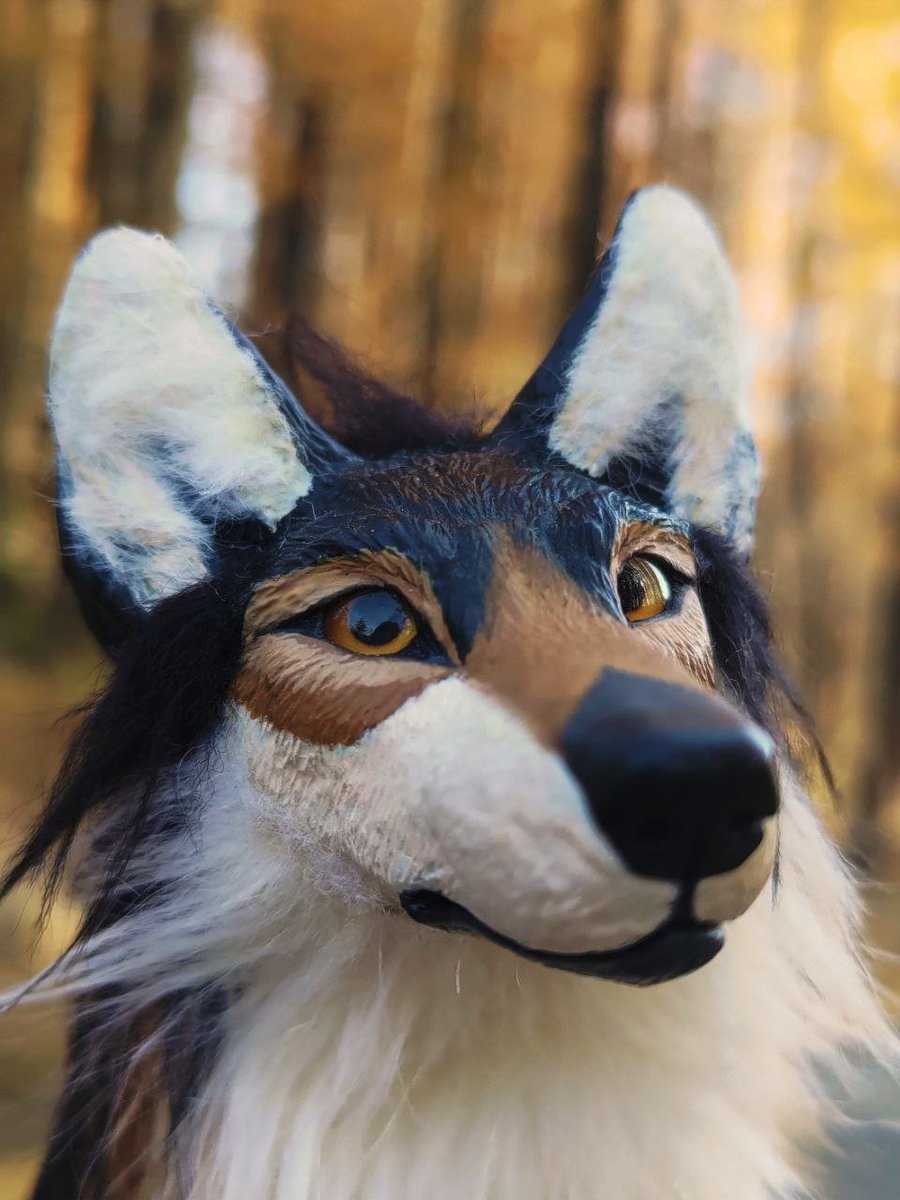 Jasper and larches 💛🧡