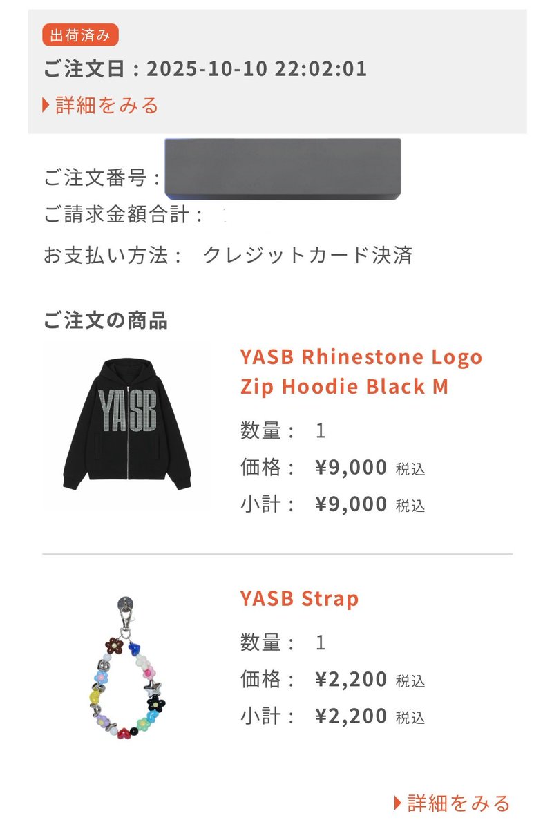 YOASOBI Rhinestone LOGO Zip Hoodie(限定カラー YOASOBI WANDARA