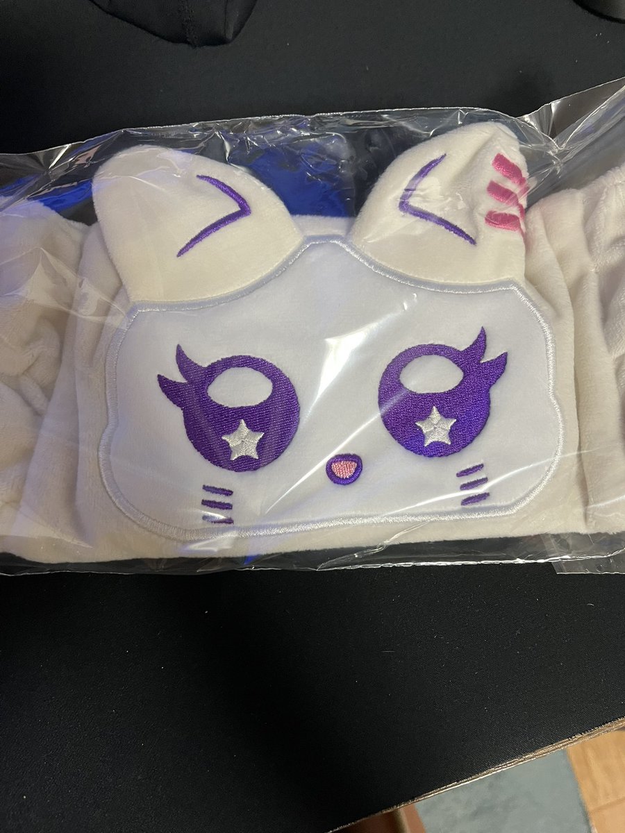 届いて嬉しいけどしーちゃんはいない。。