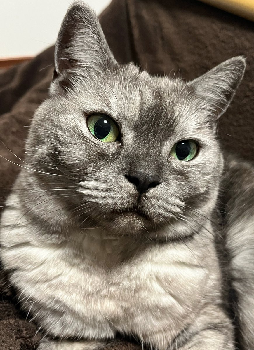 明日もママお仕事だって

おやすみなさい🌠