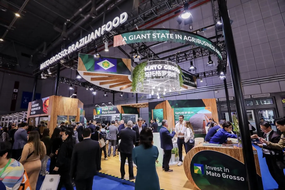 🇨🇳🤝🇧🇷 A 8ª edição da China International Import Expo (CIIE) se realiza de 5 a 10 de novembro, em Shanghai, com a participação de mais de 3.200 empresas de 110 países e regiões.

➡️ Segundo <a href="/ApexBrasil/">ApexBrasil</a> , na última edição, as empresas brasileiras registraram cerca de US$ 480