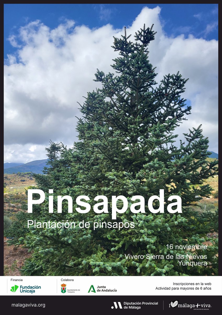 diputacionMLG's tweet photo. 🌲La @diputacionMLG y la @FundUnicaja impulsan una plantación de #pinsapos en el Parque Nacional Sierra de las Nieves.

🔗https://t.co/wV9jy9GQv3 https://t.co/6Lf7TPymCb