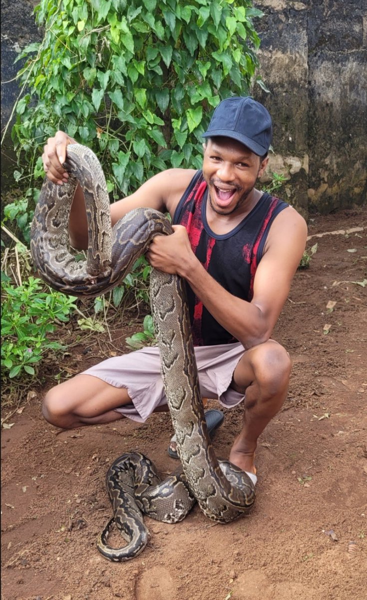 DanielRegha's tweet image. Caught by neigbours....