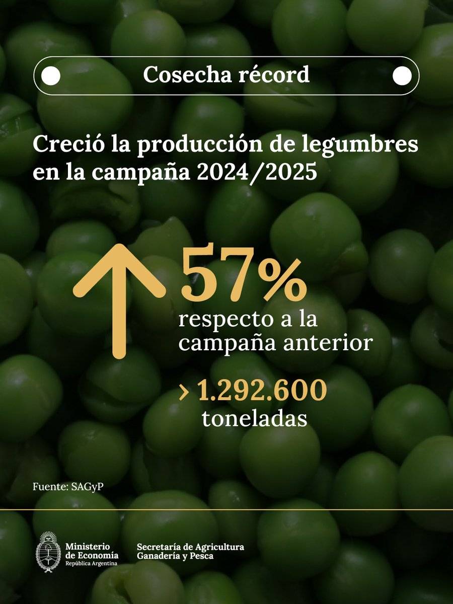 Es récord la producción de legumbres. La campaña 2024/25 creció 57% en comparación a la campaña anterior y alcanzó 1,29 M de toneladas, con más superficie sembrada y mejores rindes.
 Más info 👉🏽 argentina.gob.ar/noticias/la-pr…