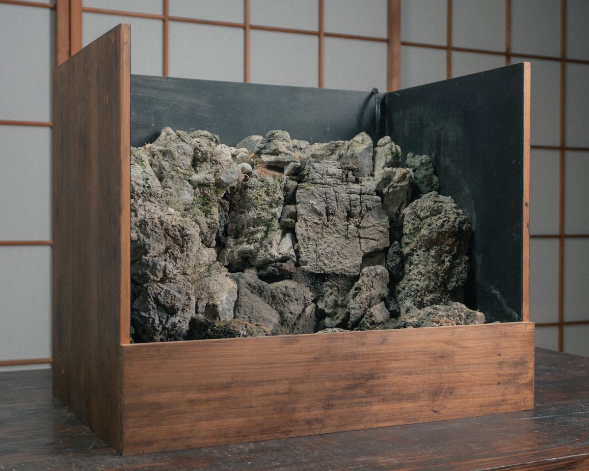 Asu (@Asu_green_jp) / Posts / X