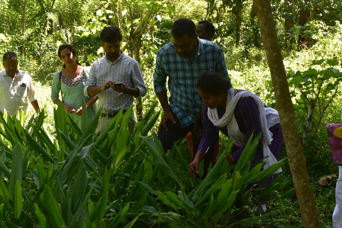 MSSRF CAbC tweet media