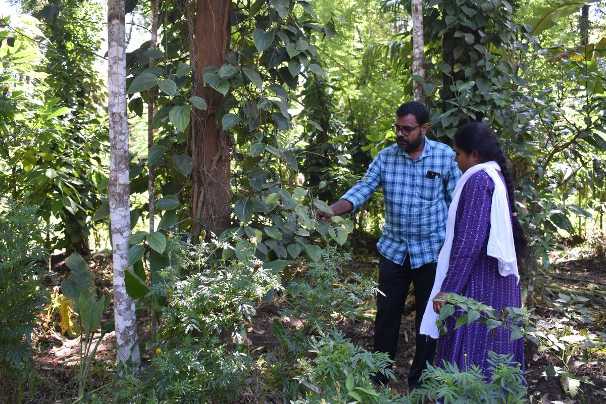 MSSRF CAbC tweet media