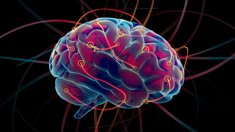 FrequenCell tweet media