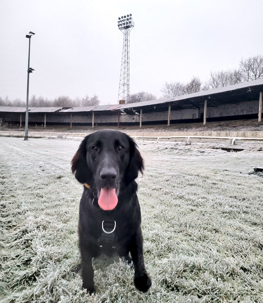 Clyde FC tweet media