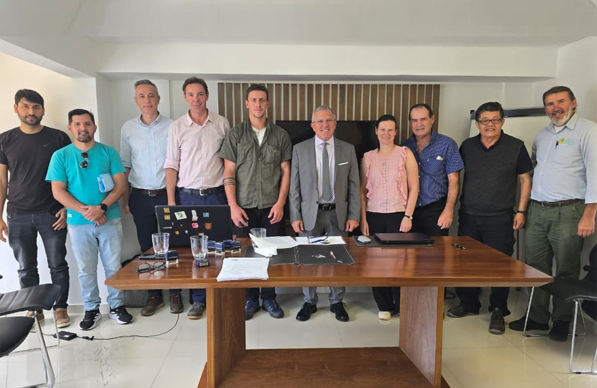 apicofom tweet media