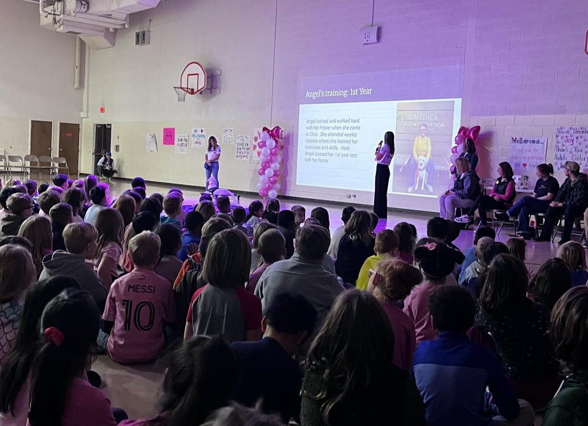PburgDogs's tweet photo. On Mon, Nov 3rd, Woodland Elementary celebrated Angel in pink fashion with a "Welcome Home Angel" Assembly.  Staff and students wore pink in honor of Angel's iconic pink bow.  Everyone learned about Angel's journey and watched Dr. Salwiesz and a student play tic-tac-toe with her! https://t.co/IdoSgBgMyn