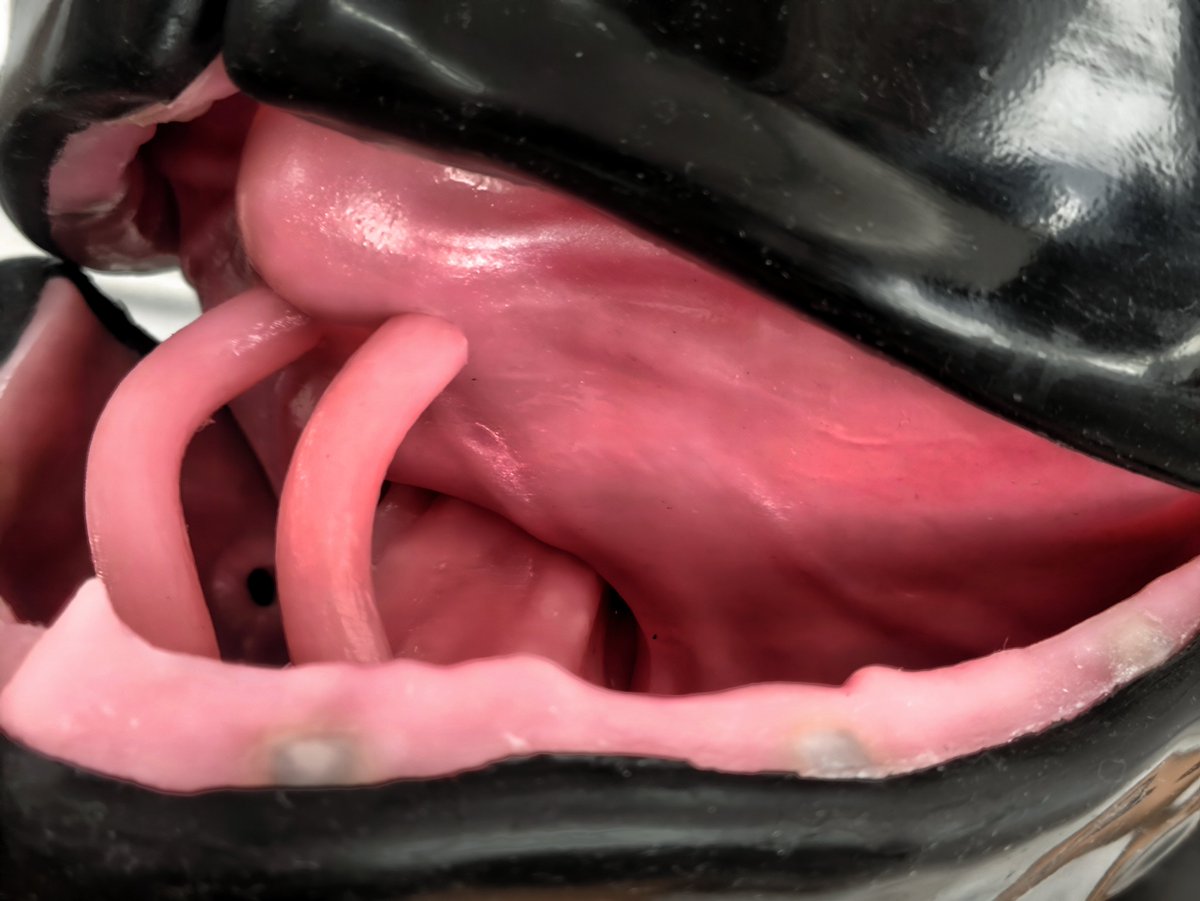 #latex 
面具之下早已是扭曲异变的血肉……
（本来万圣节该发的，忘了🥺）

奇怪头套😮：<a href="/DMSfetish/">迪美斯DMS</a>