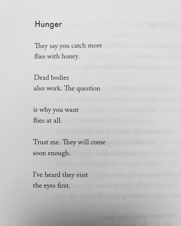 poemtoday's tweet image. Hunger

They say you catch more
flies with honey.

Dead bodies
also work. The question

is why you want 
flies at all.

Trust me. They will come
soon enough .

I’ve heard they visit
the eyes first.

Michael Bazzett

Image courtesy @TaraSkurtu