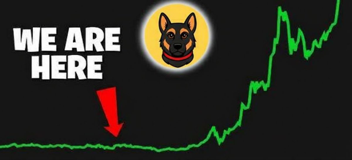 Belgtoken's tweet photo. $BELG 🌕🚀 https://t.co/NR4IzExjMU