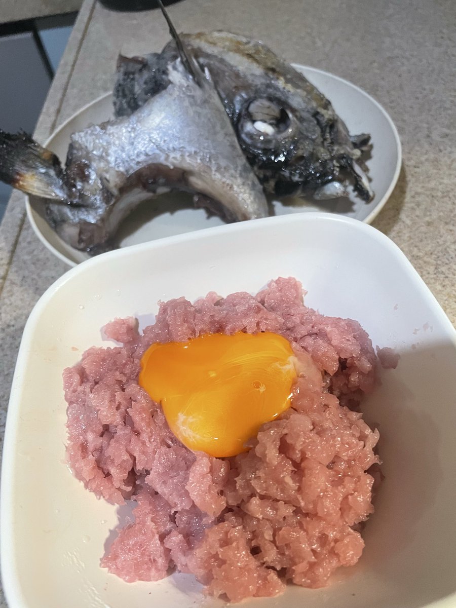 t*a様 新品ひぐちゆうこフレーム入りケロちゃん2011イラスト カードキャプターさくら マグカップ ケロちゃん | NHK キャラクター