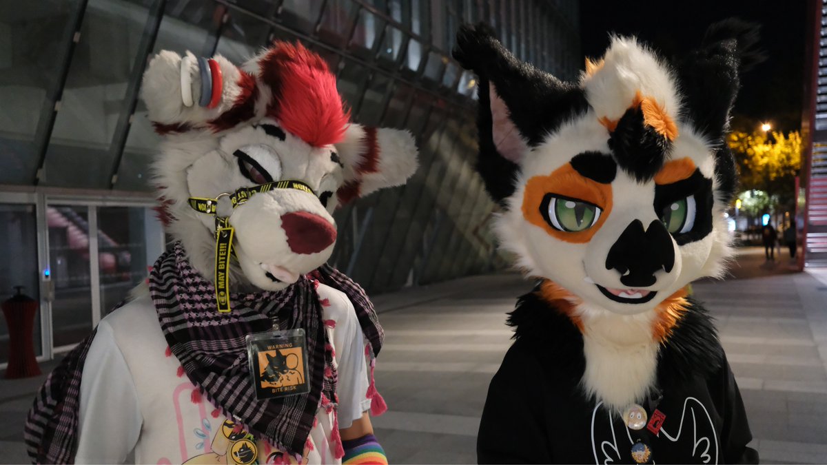 Ils sont pipou ces deux-là
#FBL13 

🐺 <a href="/Peppermint_IG/">Peppermint Spice</a> 
🦇 <a href="/KaparoFur/">Kaparo</a> 
📸 <a href="/Hatigre_/">Hatigre</a>