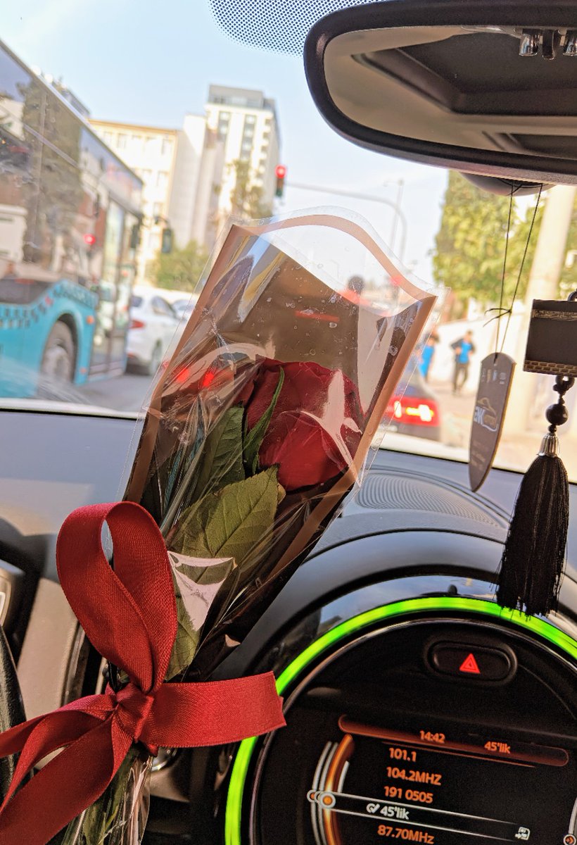 Sıradan hayatımın minik mutlulukları 
Ben dogurmadim ama bir sürü evladım var 🥹🥰 tüm yorgunluğunu unutturan küçük hatırlamalar