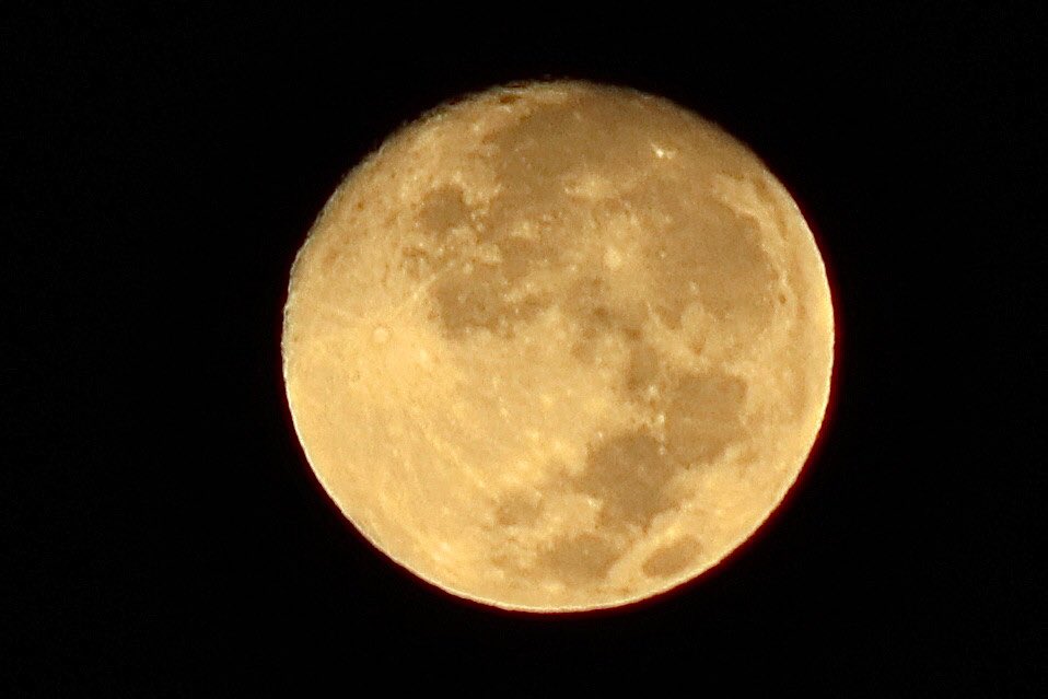 jchrisb123's tweet image. The Moon over the past 3 days from Tampa.