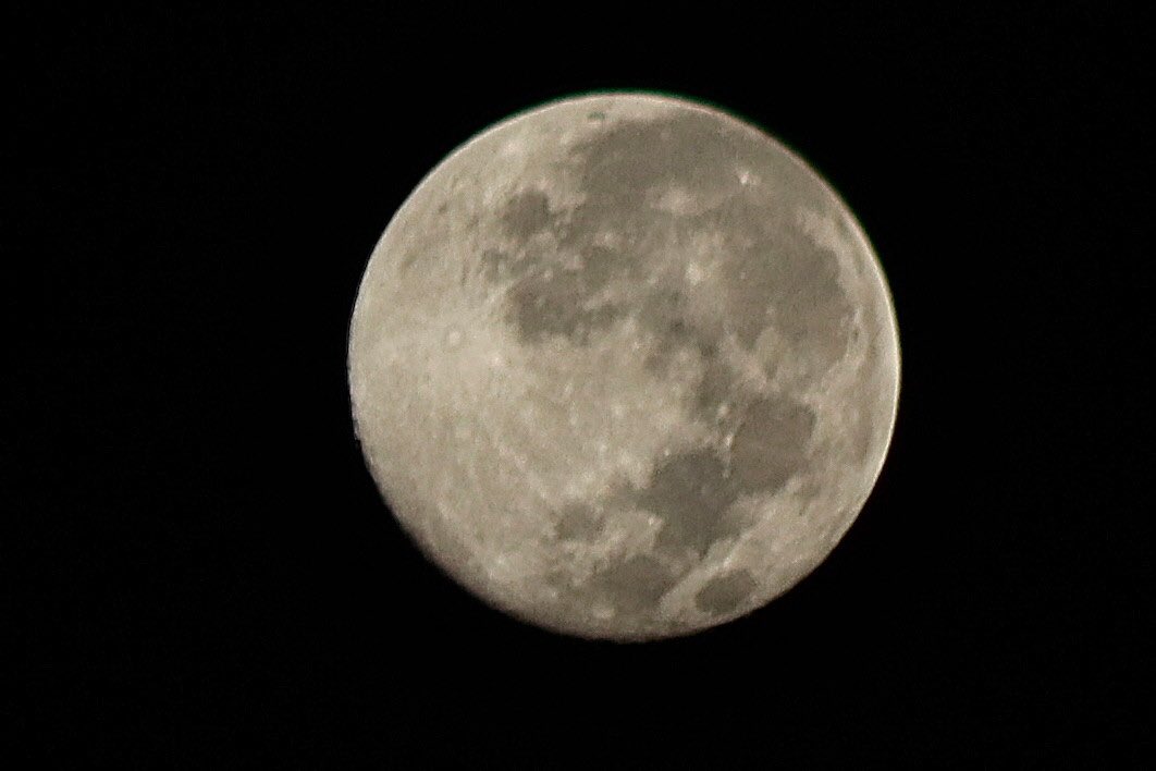 jchrisb123's tweet image. The Moon over the past 3 days from Tampa.
