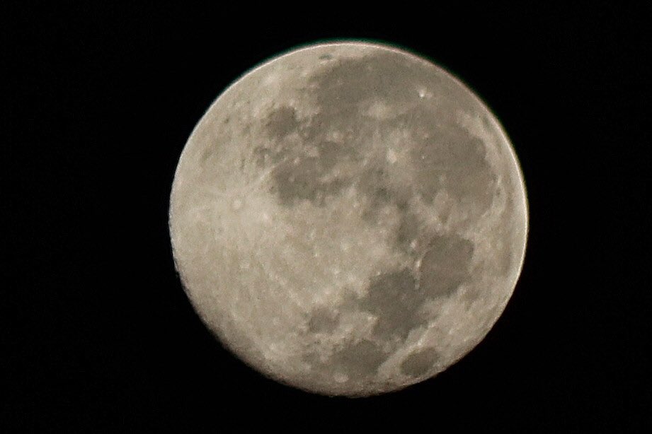 jchrisb123's tweet image. The Moon over the past 3 days from Tampa.