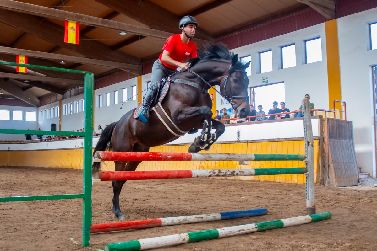 Deportes Andalucía tweet media