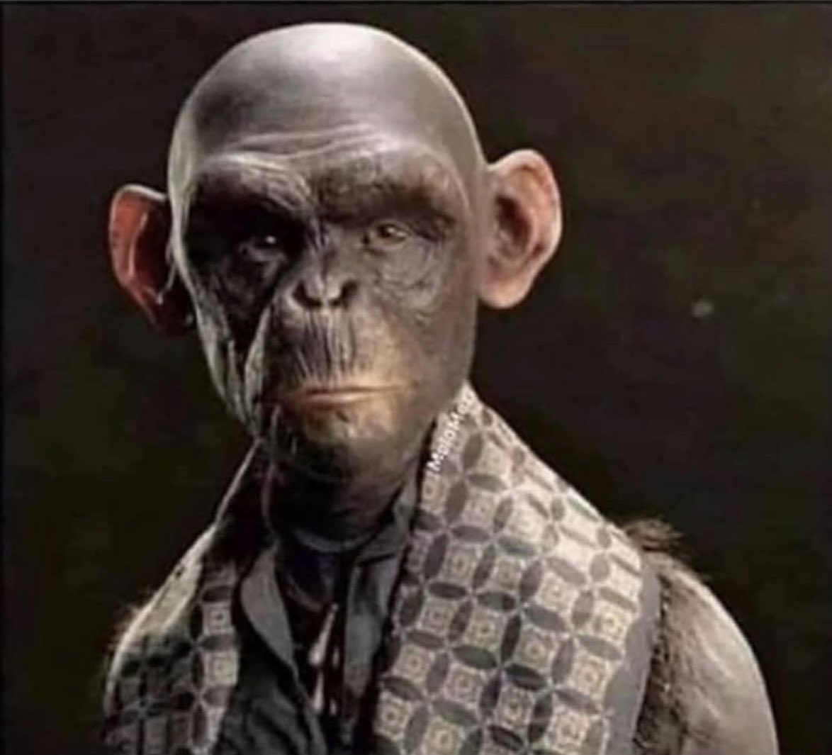 BMS | Lath Ibn Frieza⛈️ tweet media