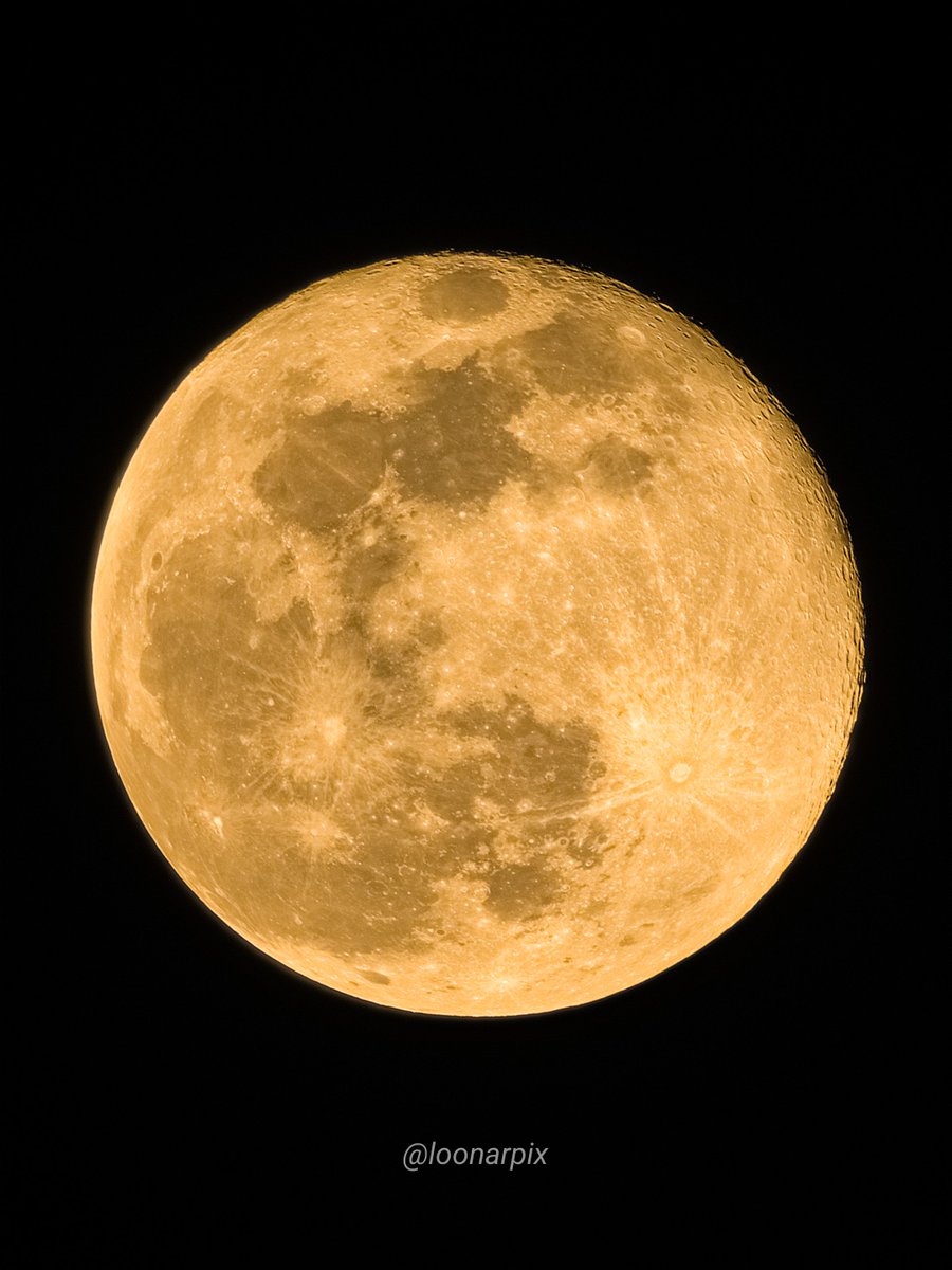 loonarpix🌙 tweet media