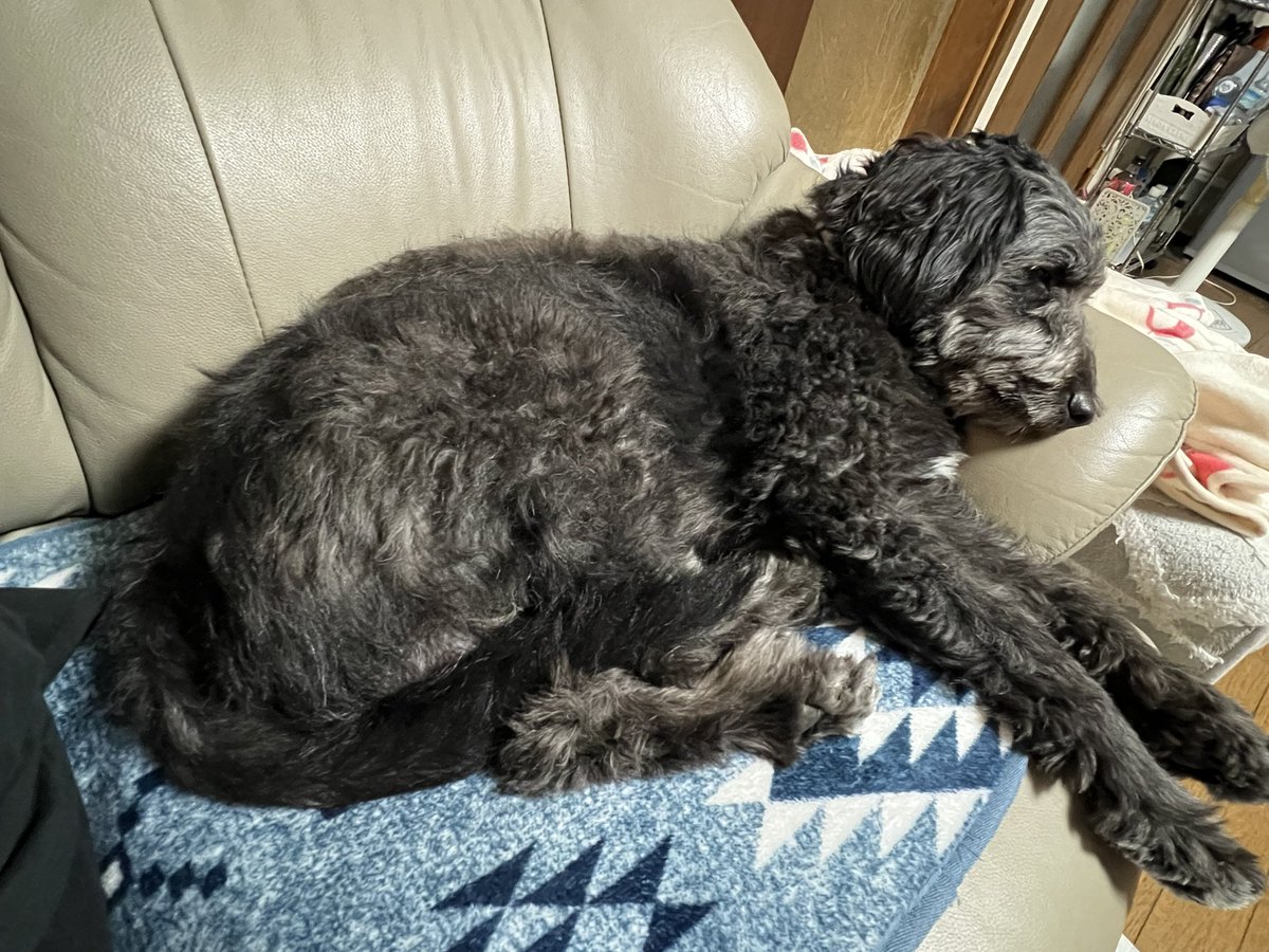 mami様♡専用確認ページです♡ ふじあみ | 26歳ママコーデまとめ🩶 | Instagram