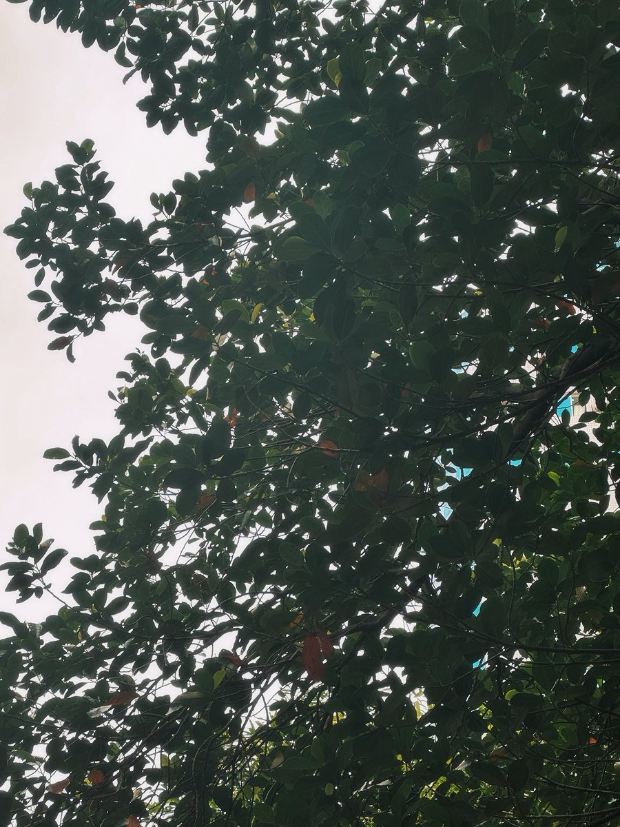 Nine_499's tweet photo. 又是☔️天 https://t.co/K6hLazUy3B