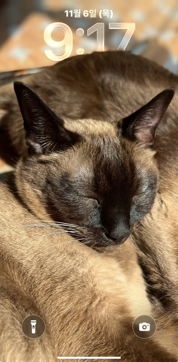 좋은 밤 ~ 
gn ~ 🌝