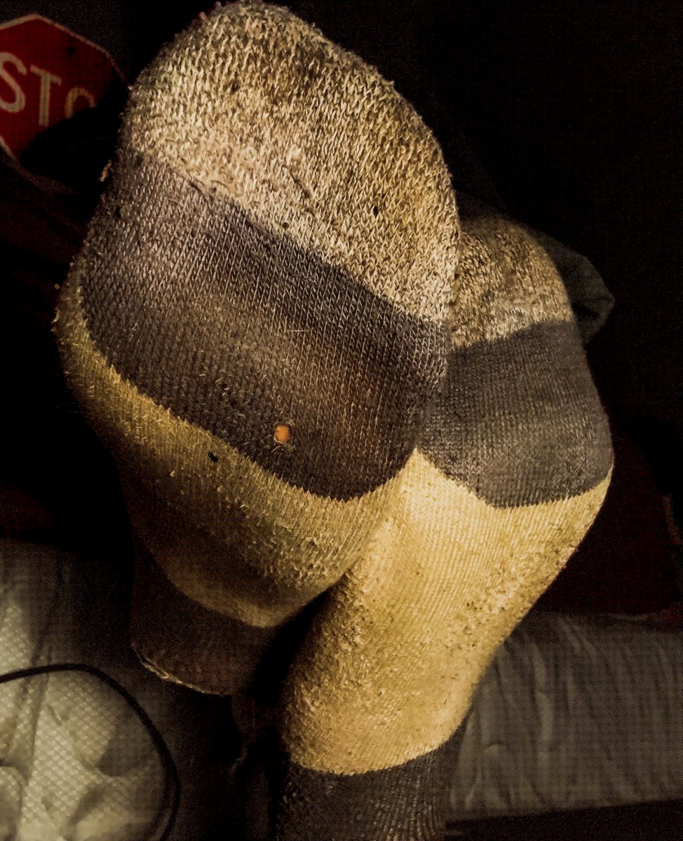 Pyro_Paws🧦 tweet media