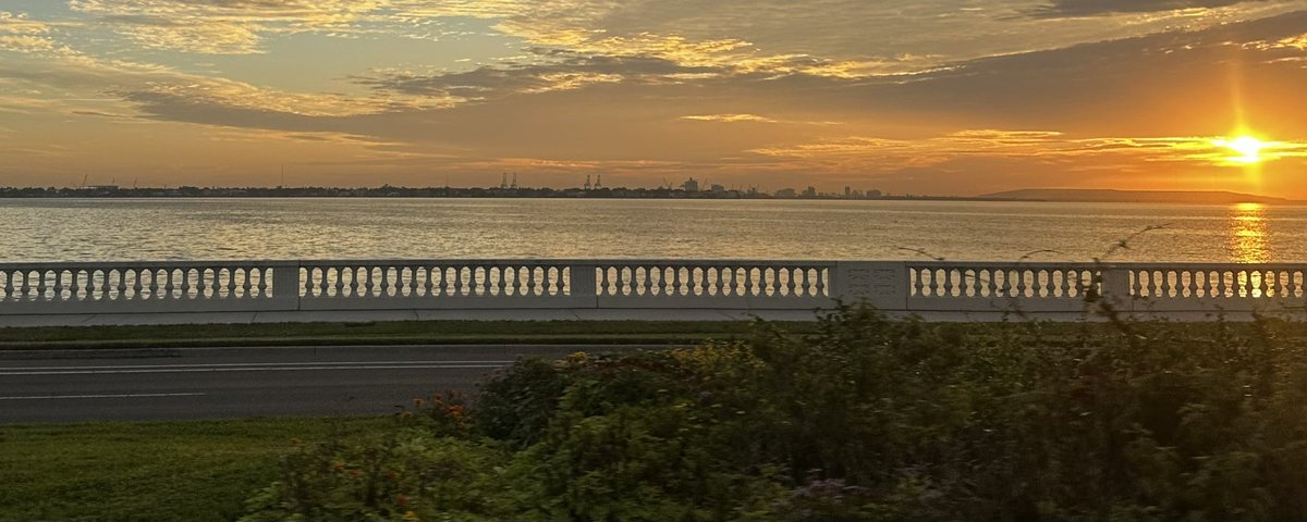 Good morning Tampa